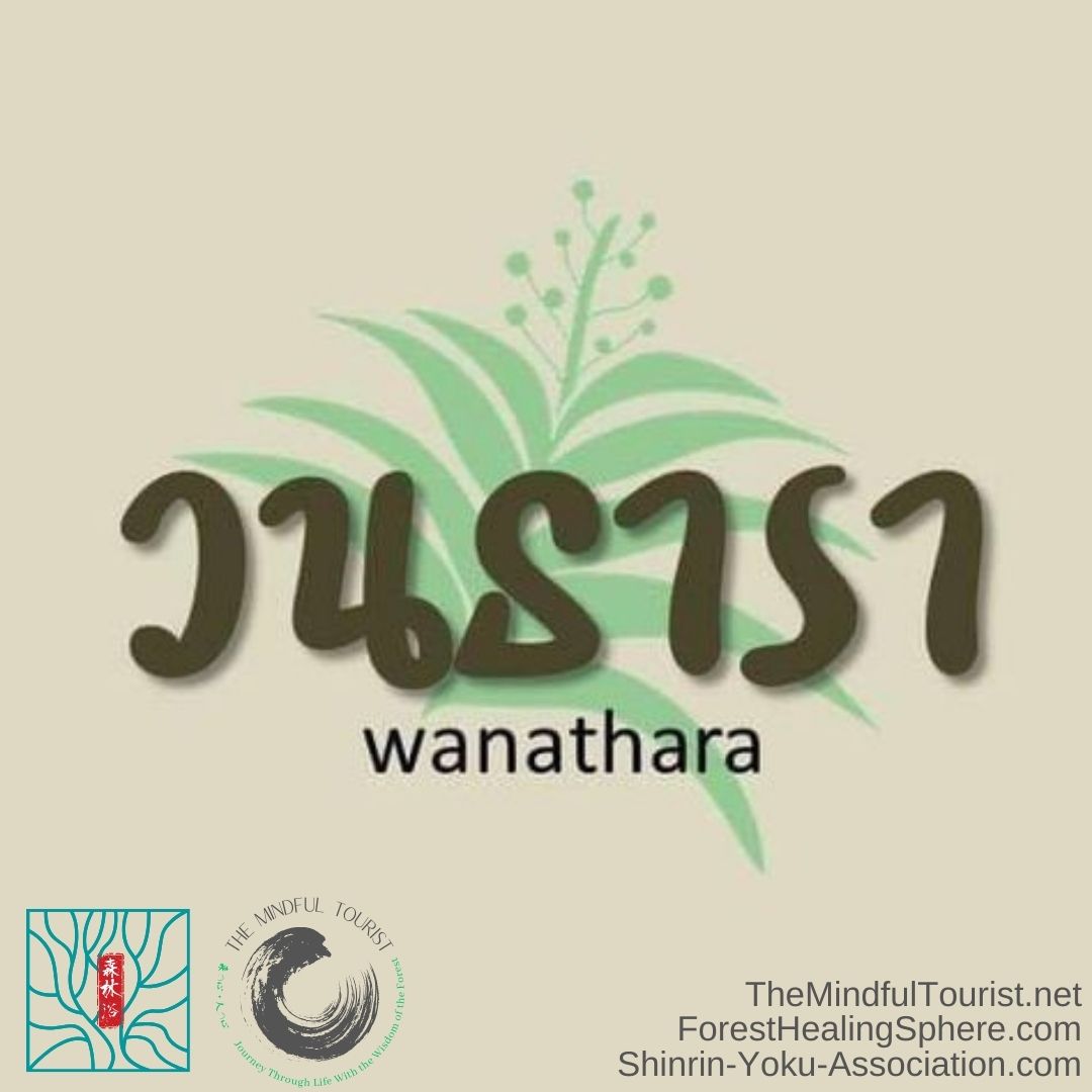 Meet our Shinrin Yoku Guide – Priyat