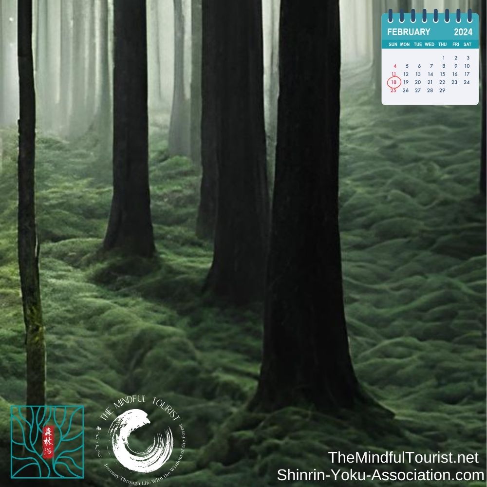 Shinrin Yoku Invitation 1