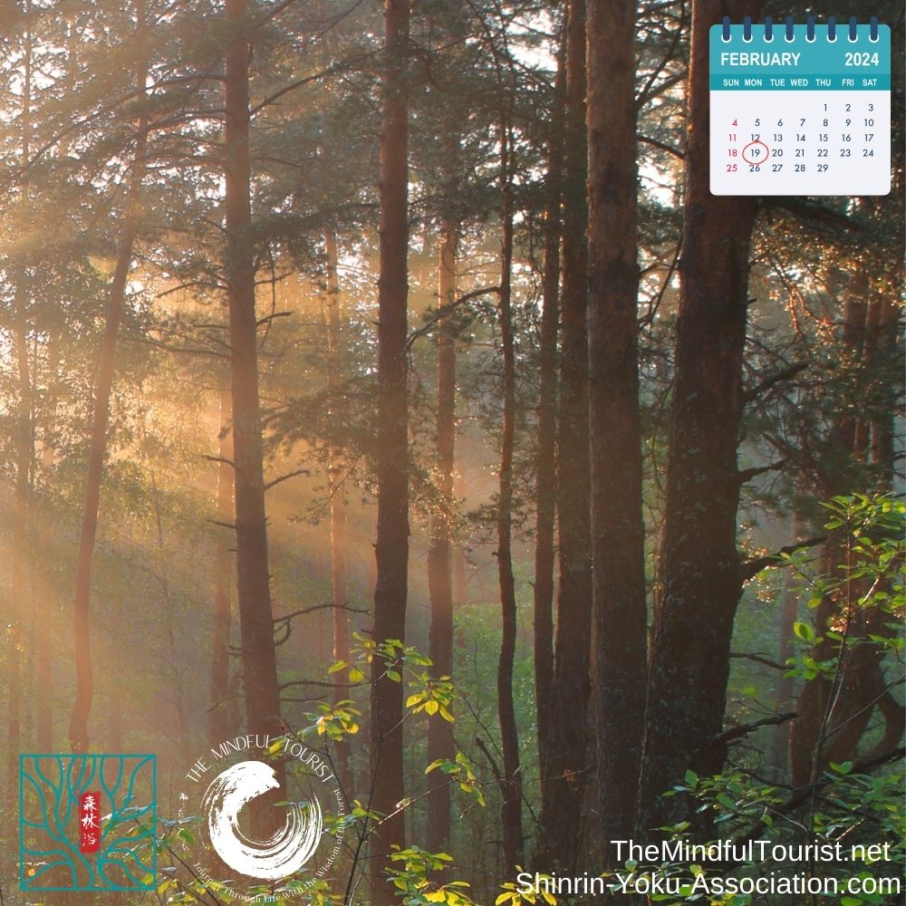 Shinrin Yoku Invitation 2