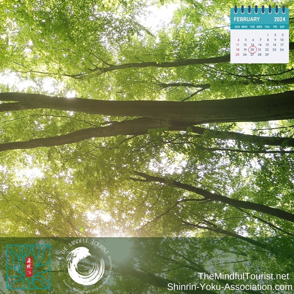 Shinrin Yoku Invitation 3