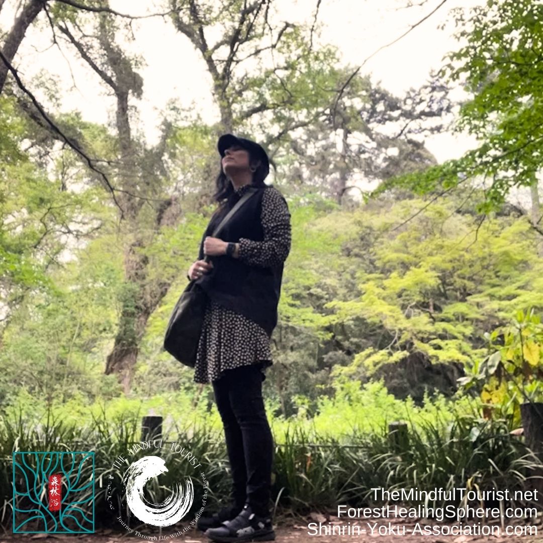Meet our Shinrin Yoku Guide – Michelle