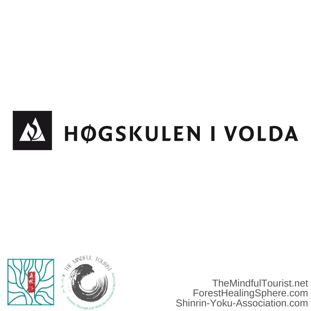 Volda University College