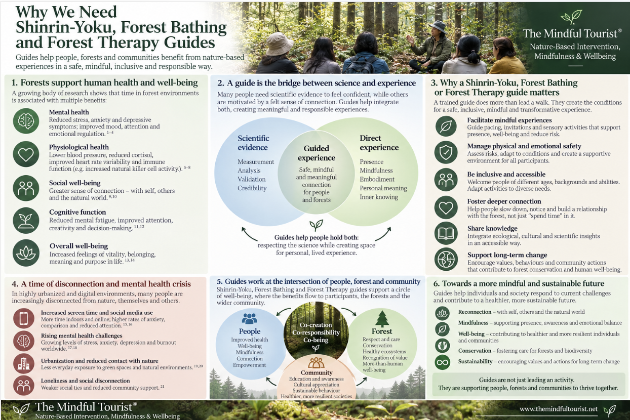 Why Do We Need Shinrin-Yoku, Forest Bathing, and Forest Therapy Guides?
