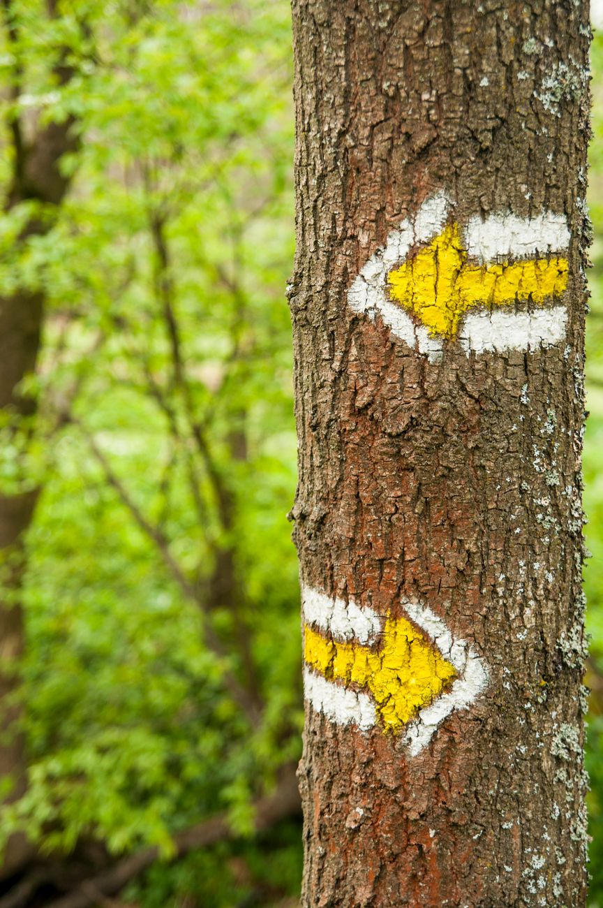 If We Are Already Sensing Nature, Why Might We Need a Guide?