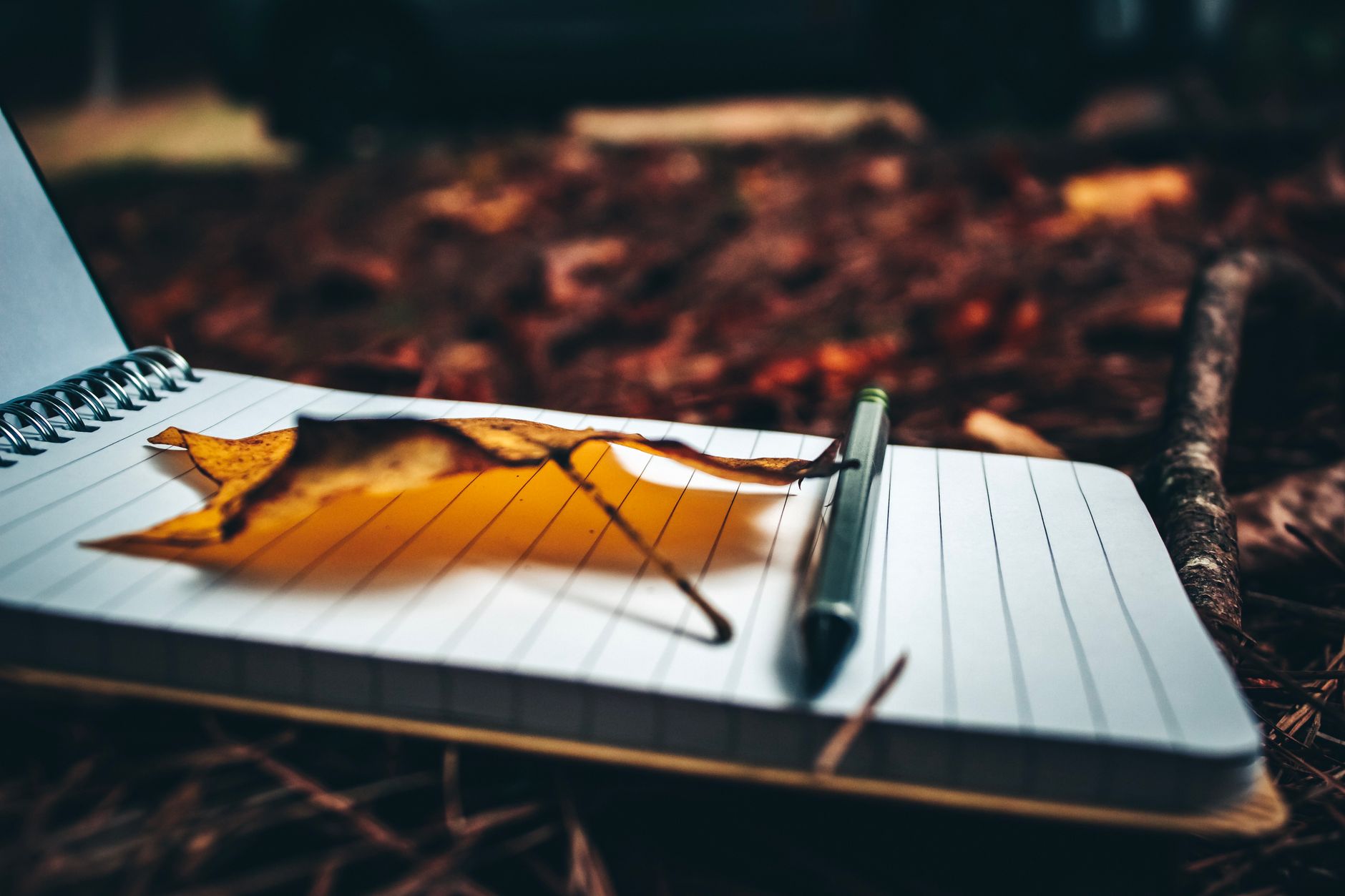 Breaking the Silence Within: How Writing Became a Way of Understanding Myself