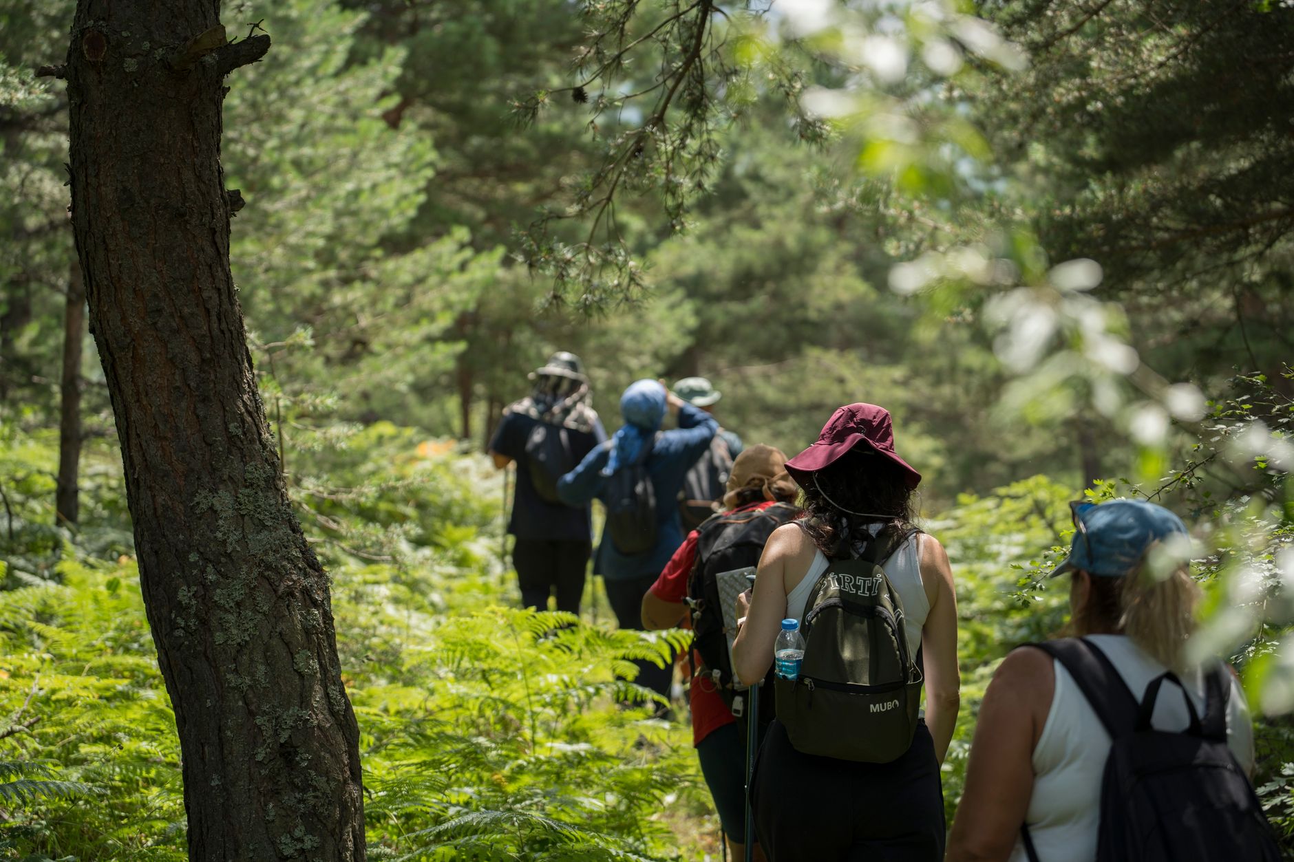 Does Nature Experience Need to Be Organized to Become Therapeutic?
